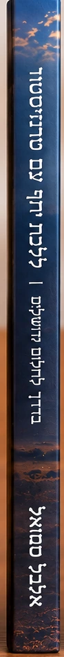 הדמיה של שדרת הספר